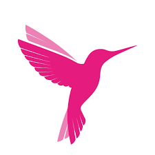Online Birds | The Hotel Marketing Company.